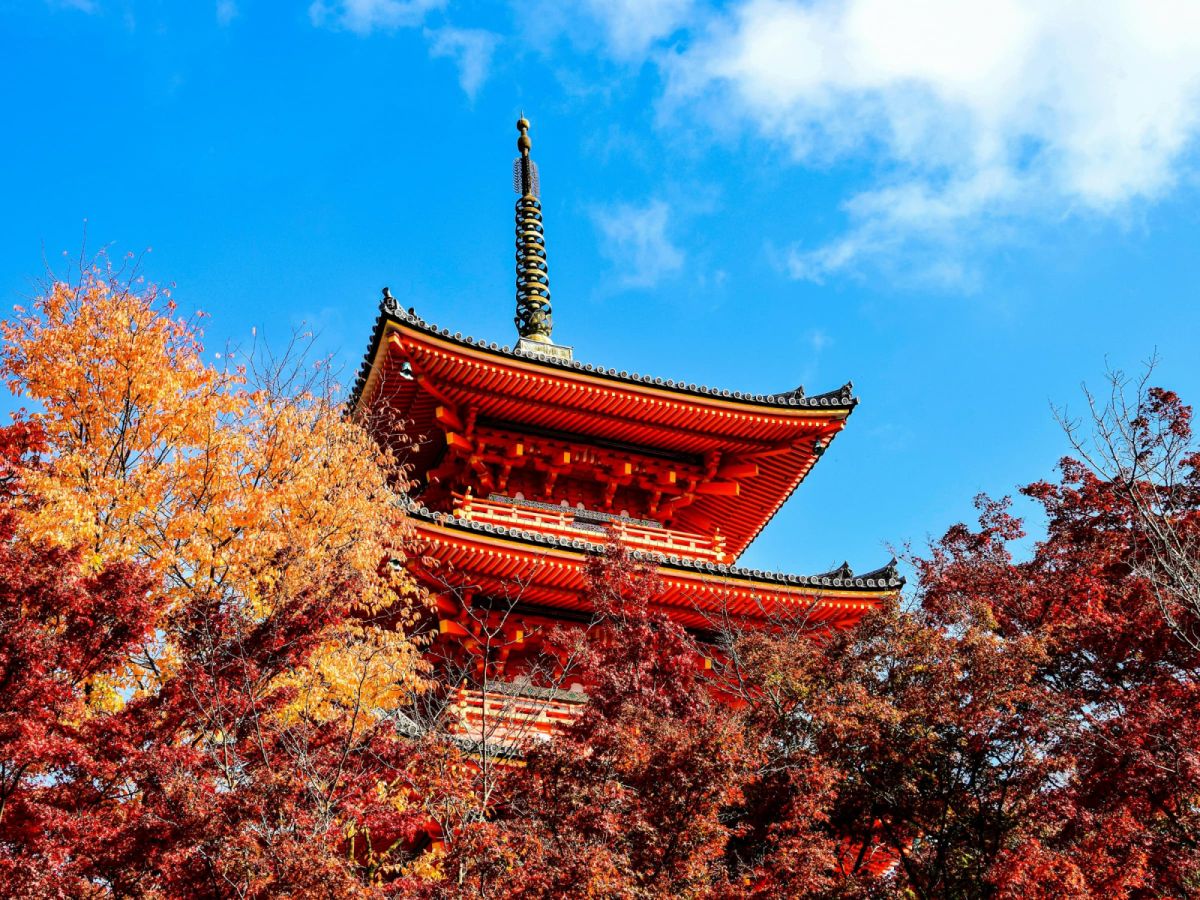 2025日本、韓國賞楓最佳時節,銀髮族賞楓旅遊推薦