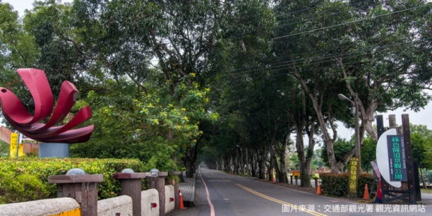 古坑綠色隧道