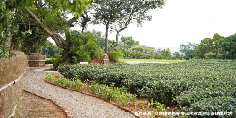 仁和步道