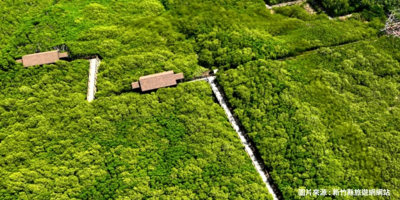 新豐紅樹林步道